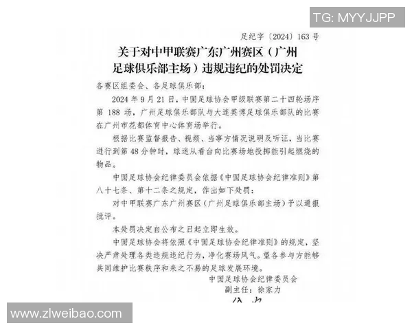 关于近期停赛处罚结果的公开通报及相关说明